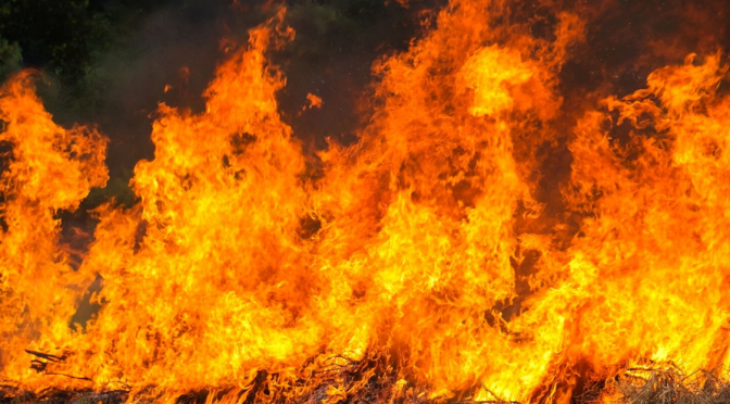 Les incendies à l’Abadie